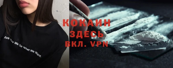 бошки Новозыбков