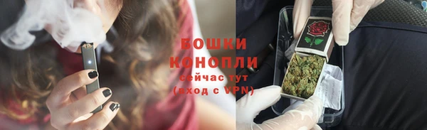 крисы Нефтегорск