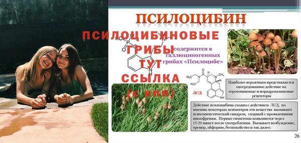 2c-b Нея