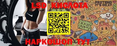 прущие крисы Гусев